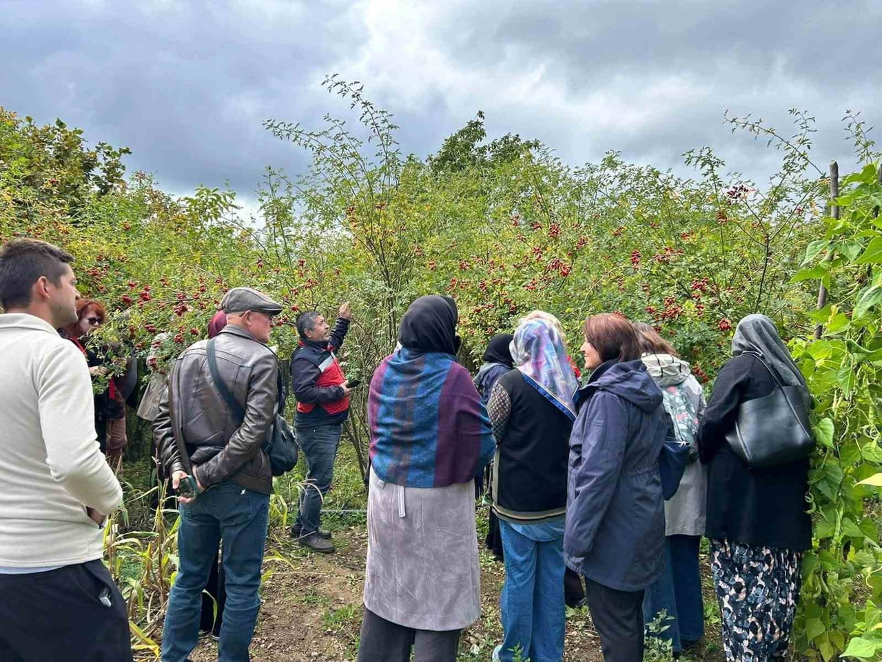 ESKİŞEHİRLİ KADIN ÇİFTÇİLER KÜTAHYA’DA ÜRETİM ALANLARINI İNCELEDİ