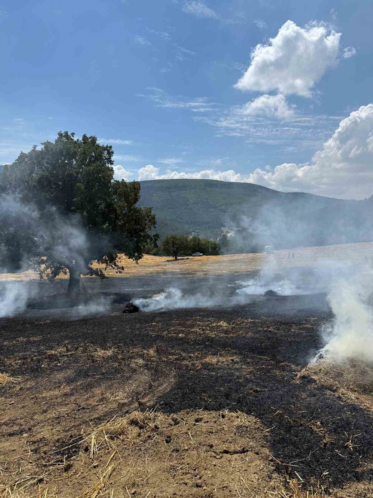BOLU’DA BALYA YAPIMI SIRASINDA MAKİNEDEN ÇIKAN KIVILCIMLARIN NEDEN OLDUĞU YANGINDA TARLA ZARAR...