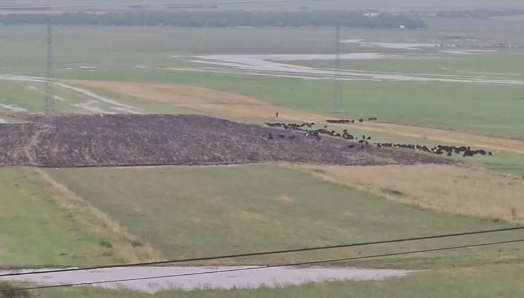 ARDAHAN'DA ŞİDDETLİ SAĞANAK VE DOLU KENTTE HASARA YOL AÇTI.