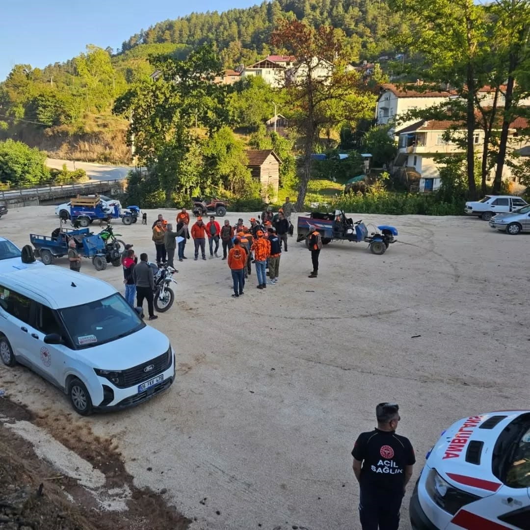 DÜZCE'NİN YIĞILCA İLÇESİNDE, FINDIK BAHÇELERİNDE BÜYÜK ZARARA NEDEN OLAN YABAN DOMUZU...