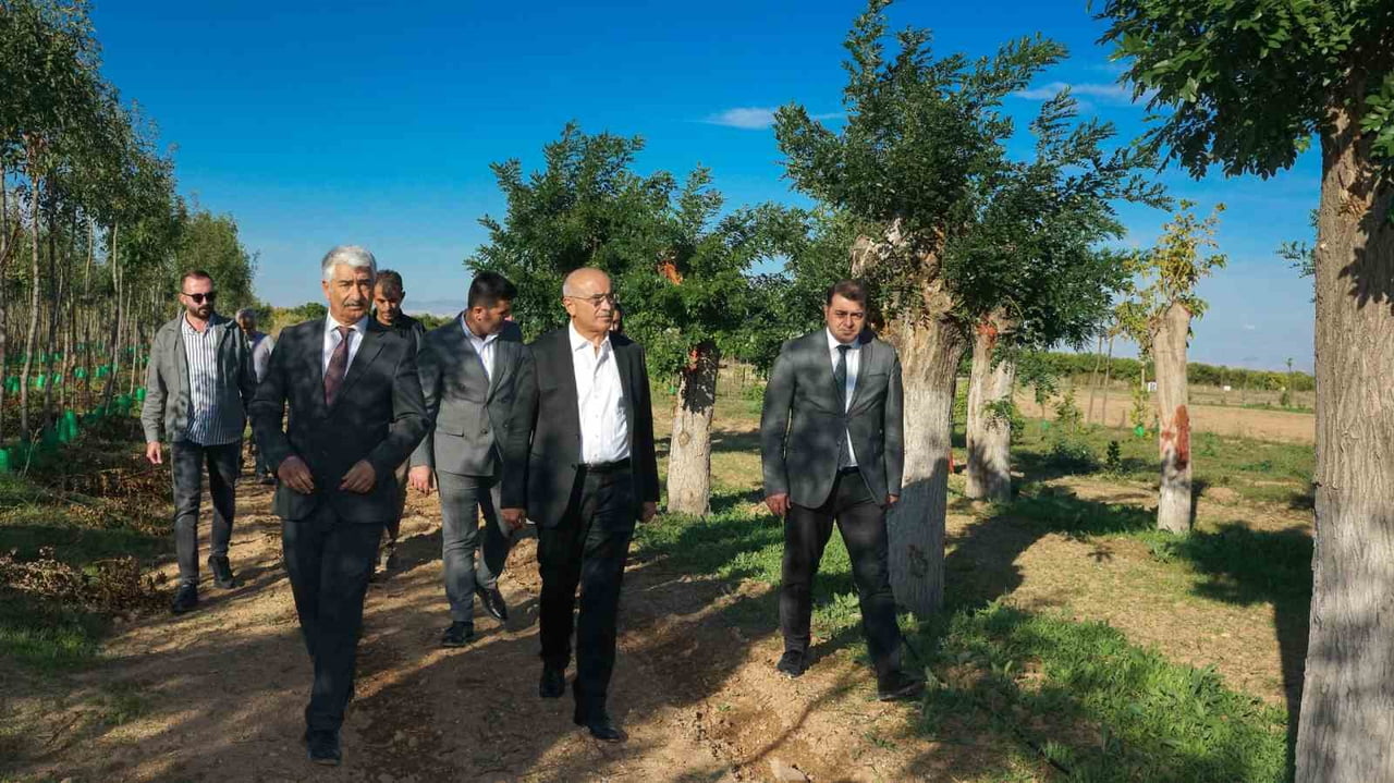 BÜYÜKŞEHİR’DEN YILDA 20 BİN FİDAN VE 50 BİN METREKARE RULO ÇİM ÜRETİMİ