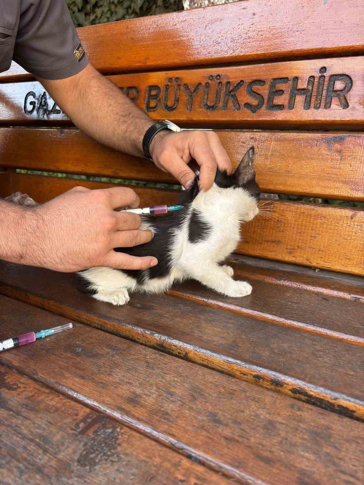 HAYVAN DOSTU GKV’Lİ ÖĞRENCİLERDEN ÖRNEK DAVRANIŞ