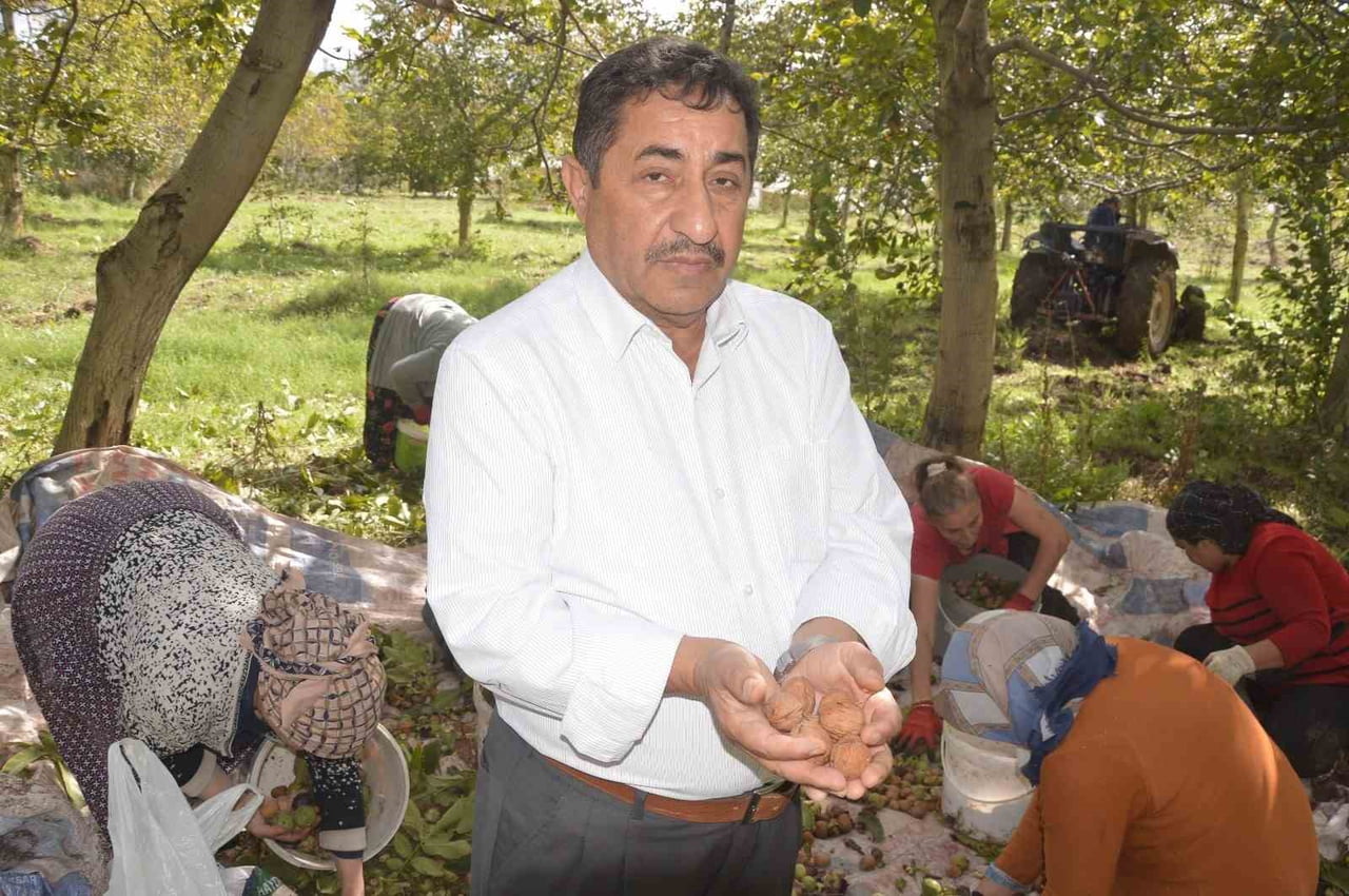 İLÇEDE CEVİZ ÜRETİMİ VE FİDAN YETİŞTİRİCİLİĞİ YAPAN HALİS YILMAZ