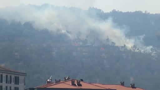 Kazdağları eteklerindeki yangın Zeytinli Mahallesine doğru ilerliyor