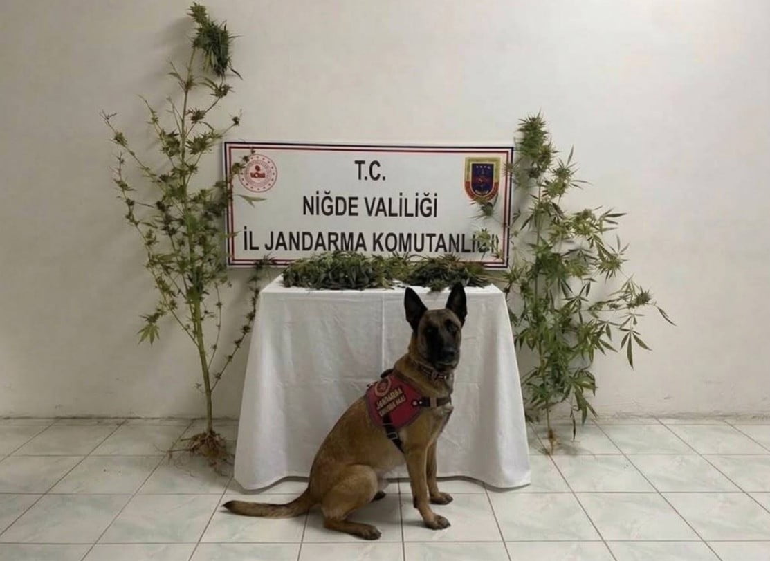 ULUKIŞLA’DA UYUŞTURUCU OPERASYONU