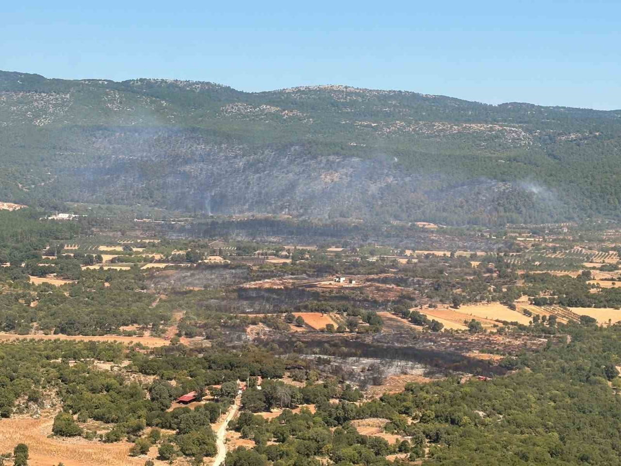 MUĞLA'NIN MENTEŞE İLÇESİNDE ÇIKAN ORMAN YANGININA MÜDAHALE EDEN UÇAKLARIN 5 SORTİ İLE 90 SANİYEDE...