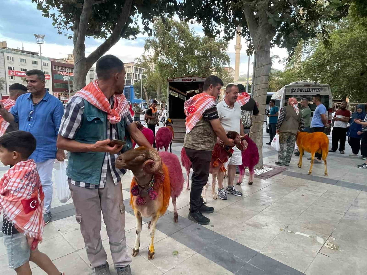 DENİZLİ’NİN ÇAL İLÇESİNDE 853 YILDIR YAŞATILAN SUDAN KOYUN GEÇİRME VE ÇOBAN BAYRAMINI ÖNCESİ...
